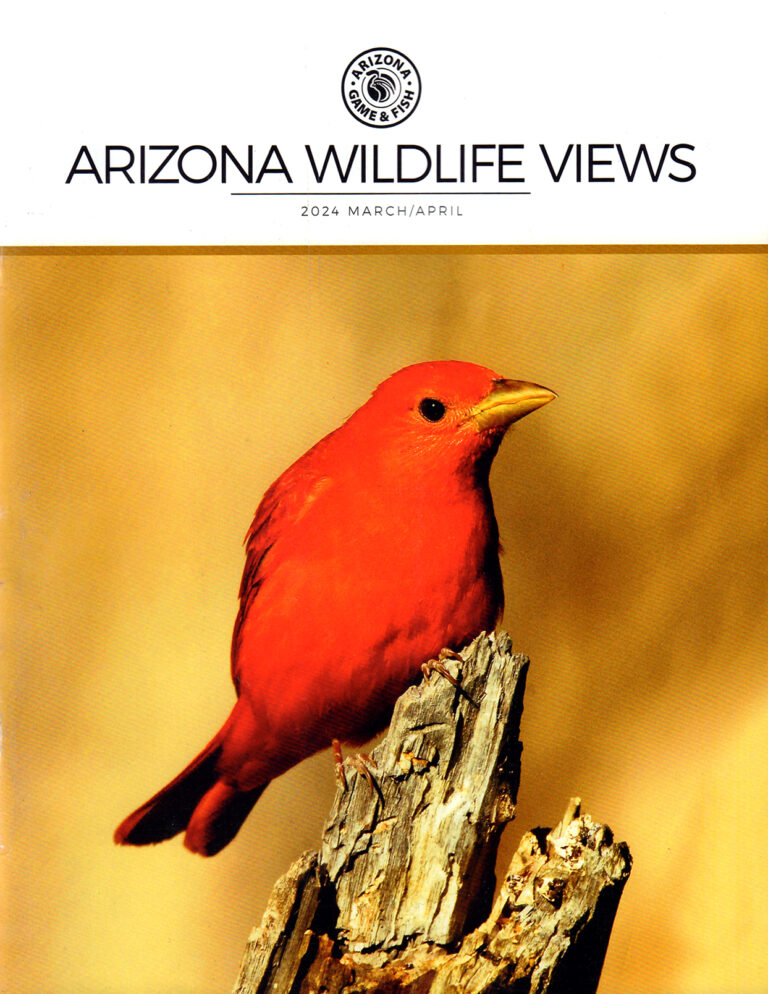 Arizona Wildlife Views Magazine