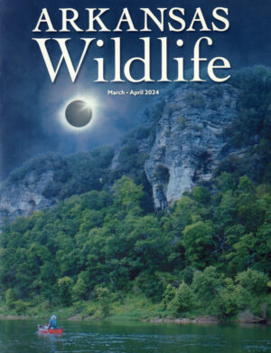 Arkansas Wildlife Magazine