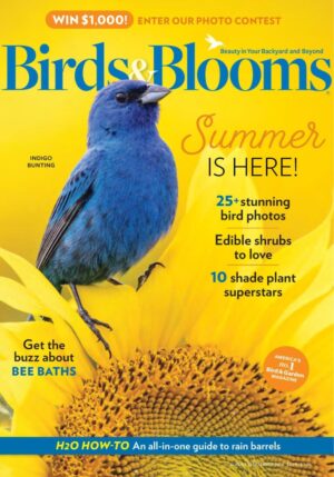 Birds & Blooms Magazine