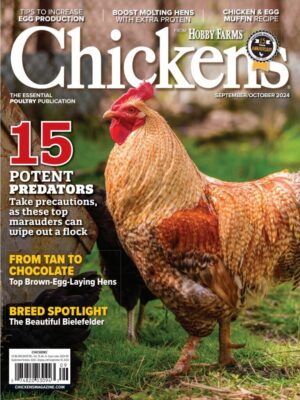 Chickens Magazine