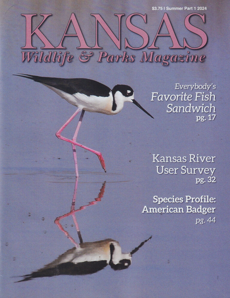 Kansas Wildlife & Parks Magazine