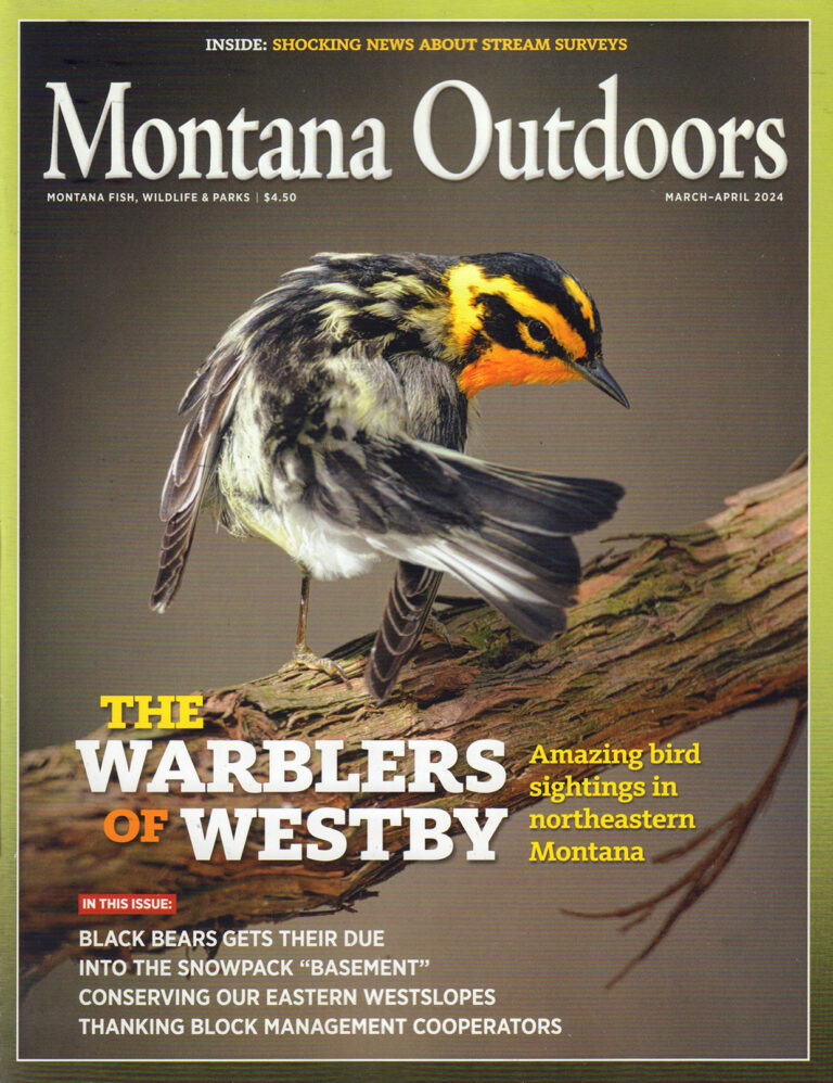 Montana Outdoors Magazine