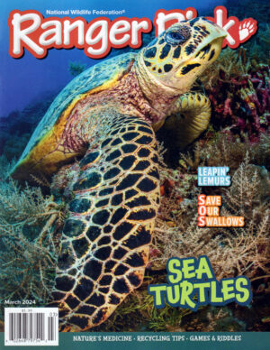 Ranger Rick Magazine