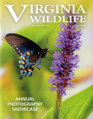 Virginia Wildlife Magazine