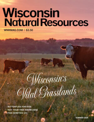 Wisconsin Natural Resources Magazine