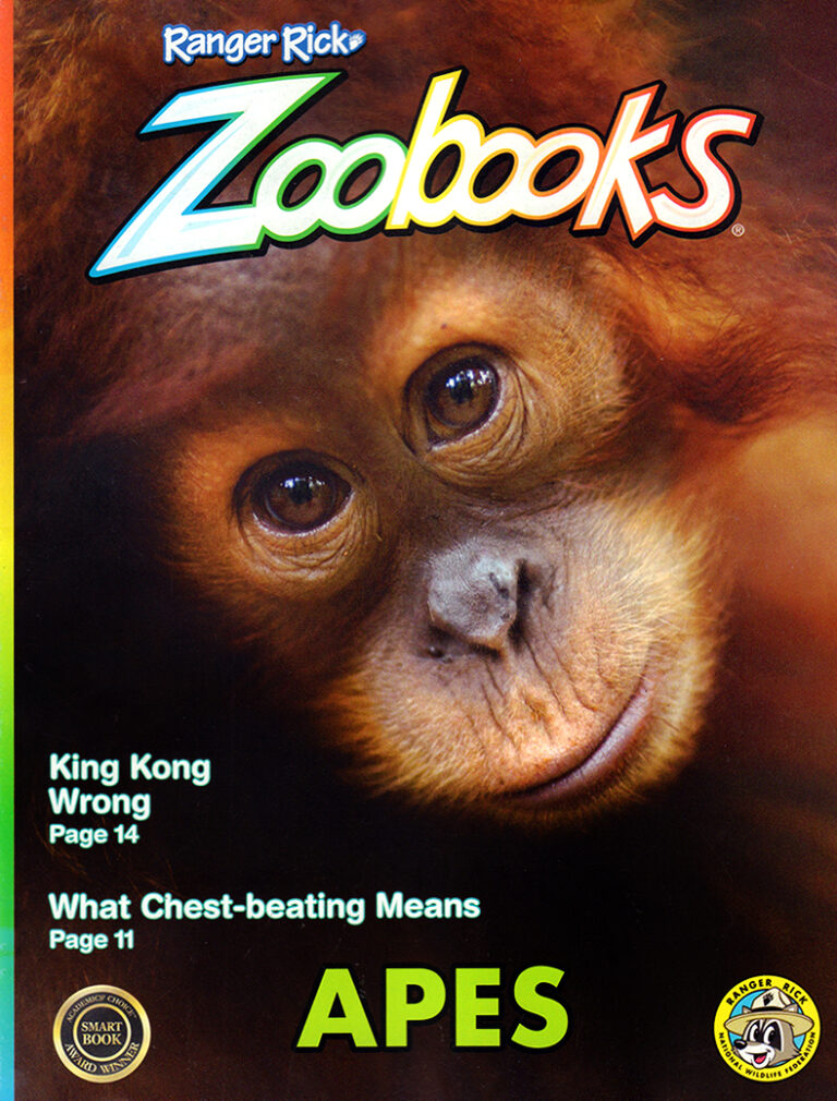 Zoobooks Magazine