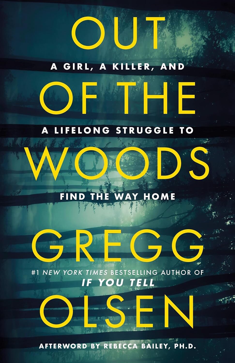 Out of the Woods: A Girl's Struggle 1 Out of the Woods: A Girl's Struggle