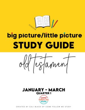 Old Testament Study Guide for Busy Saints