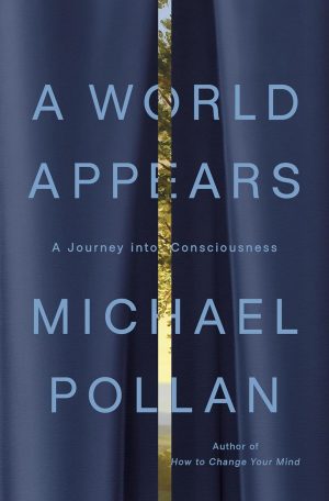 Exploring Consciousness: A World Appears